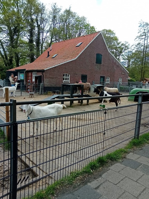 Kinderboerderij 1.jpeg